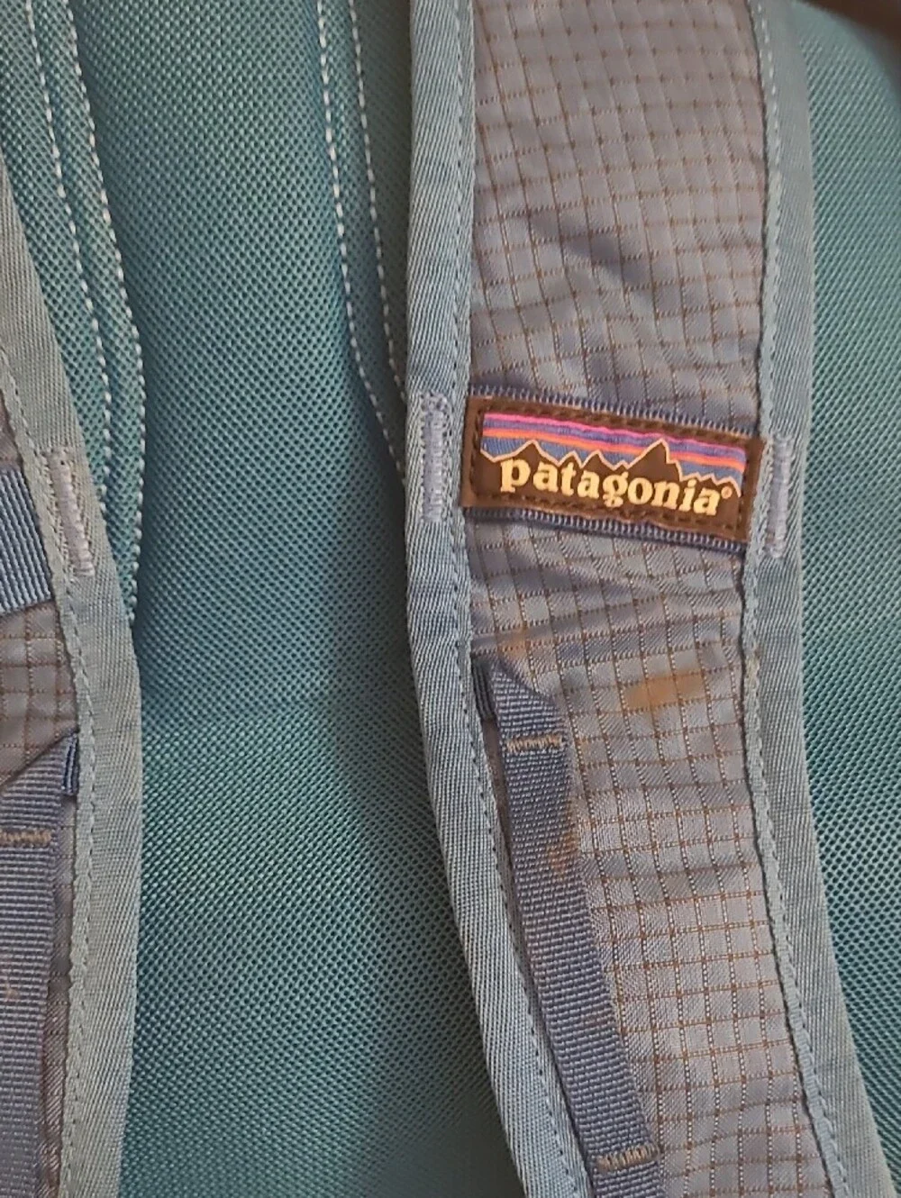 Patagonia Black Lightweight Roll-Top Pack